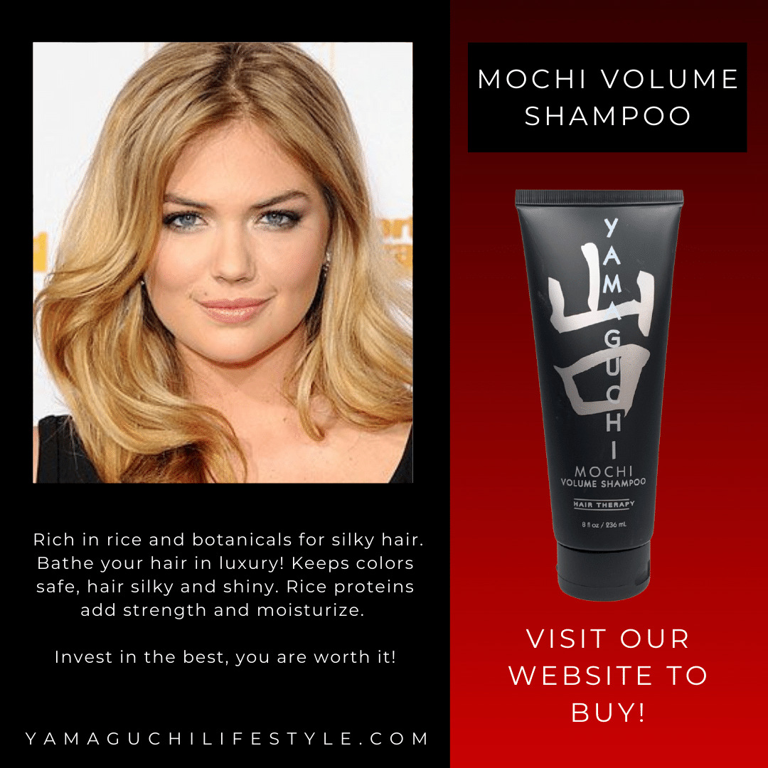 yamaguchi - Mochi Shampoo brochure